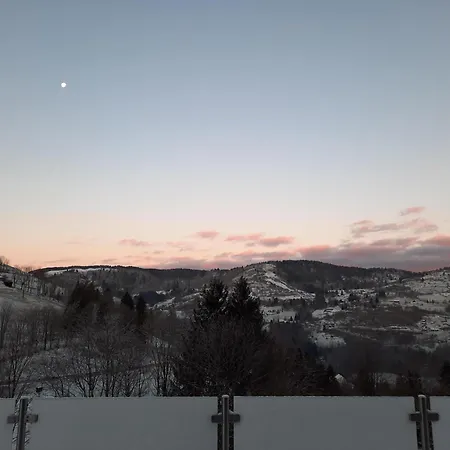 Les Bouvreuils Haute Vosges * La Bresse