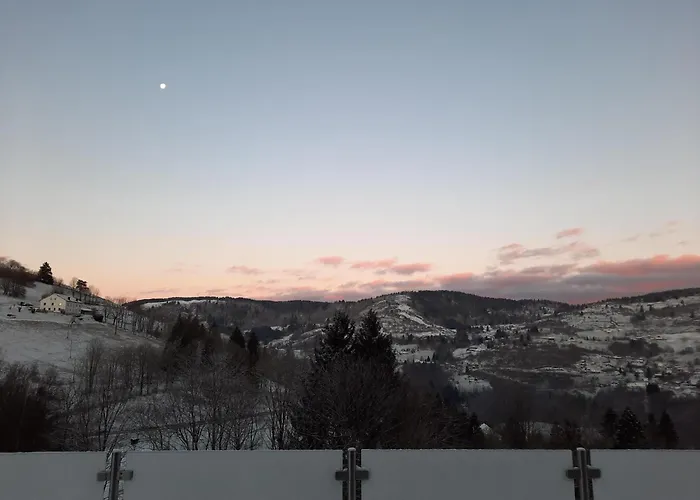 Les Bouvreuils Haute Vosges * La Bresse